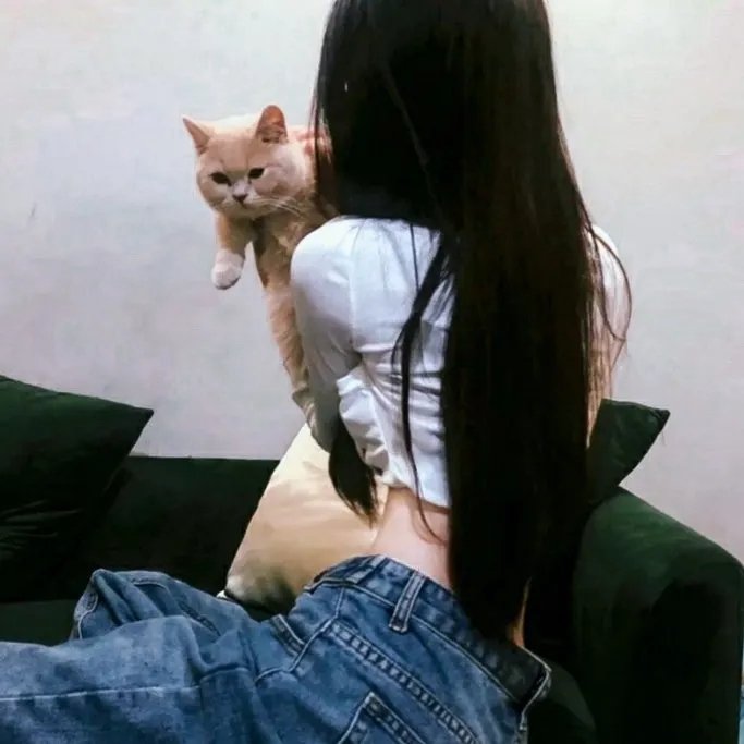 续·社长行状记